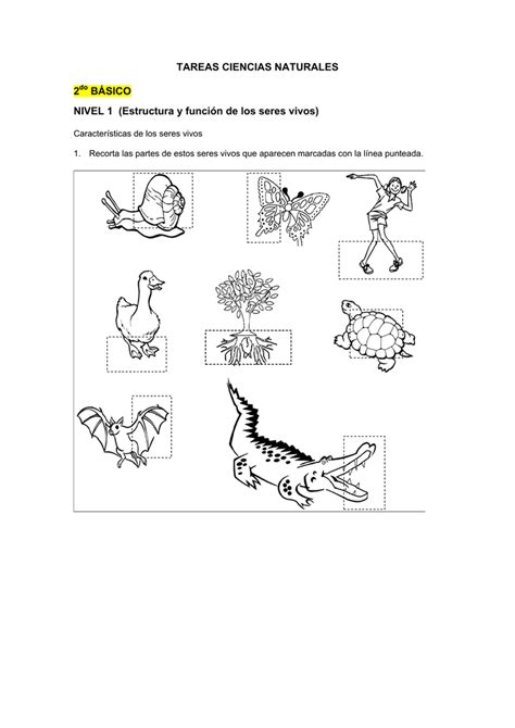 Tareas Ciencias Naturales Pdf