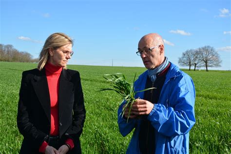 L Tat Souhaite Accompagner La Baisse Des Phytos Journal Paysan Breton