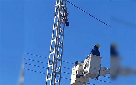 Sobrevive a descarga tras escalar torre de alta tensión en Guadalajara