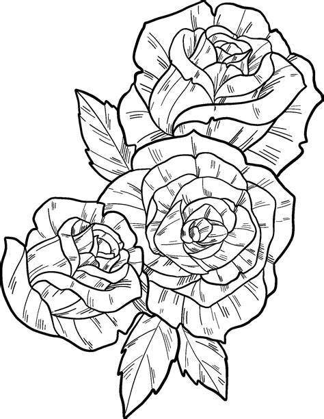 Dibujos De Tres Rosas Para Colorear Para Colorear Pintar E Imprimir