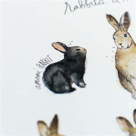 Amy Hamilton Rabbits And Hares