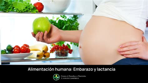 Seminario Web De Cns Alimentación Humana Embarazo Y Lactancia Youtube