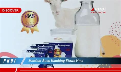 Ketahui Manfaat Susu Kambing Etawa Hms Yang Wajib Kamu Intip