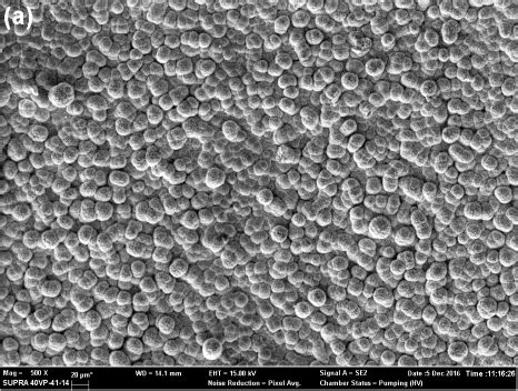 Sem And Lom Micrographs Of Electroless Ni B Coating A Surface