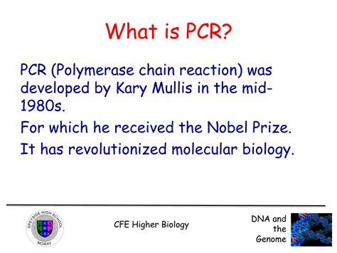 Ppt The Polymerase Chain Reaction Pcr Powerpoint Presentation Free