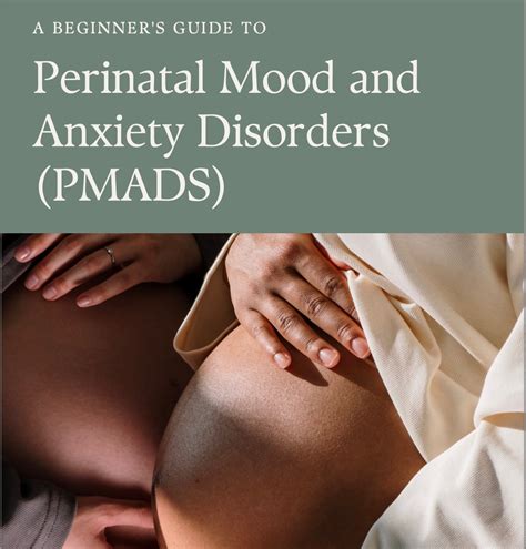 A Beginners Guide To Perinatal Mood And Anxiety Disorders Pmads