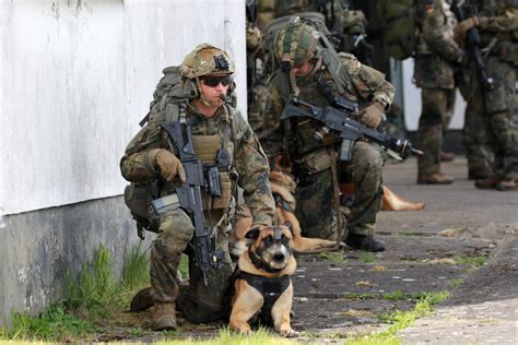 Bundeswehr G36 - European Security & Defence