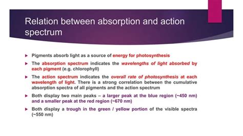 Absorption and action spectrum | PPTX