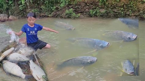 Huy Orphan Boy Fish Trapping Technique Setting Nets To Catch Stream