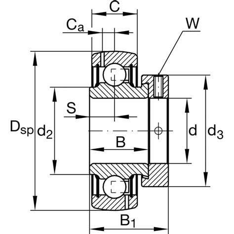 gra xl npp  asv ina sp