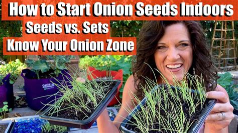 How To Start Onion Seeds Indoors Sets Vs Seeds Know Your Onion Zone