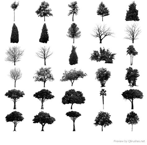 30 Highres Tree Brushes Photoshop Brushes