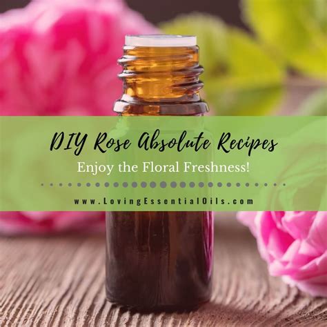 10 Rose Absolute Essential Oil Recipes - DIY Aromatherapy Blends