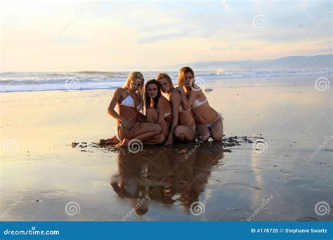 Two Bikini Models Posing In Front Of Palm Tree Royalty Free Stock Photography CartoonDealer