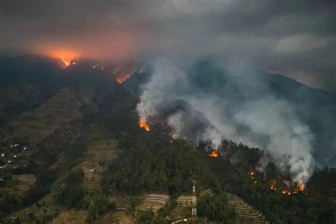 Imbas Kebakaran Hutan Gunung Merbabu Semua Jalur Pendakian Ditutup