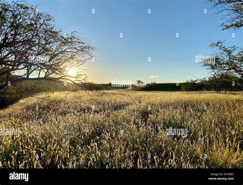 Diamond head crater sunrise 2019 Stock Photo - Alamy