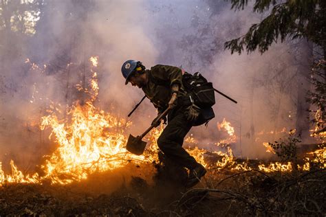 California Wildfire Relief Fund GlobalGiving