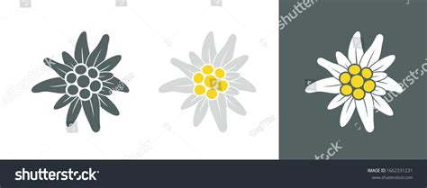 1 608 Edelweiss Vektor Images Stock Photos Vectors Shutterstock