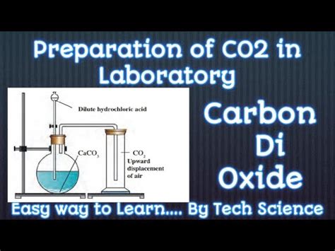 Preparation Of Co Preparation Of Carbon Dioxide How To Prepare Co