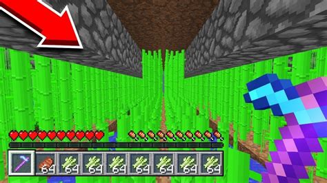 sugar cane farm schematic Archives - Creeper.gg