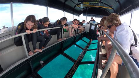 Reef Unlimited Indigenous Glass Bottom Boat Great Barrier Reef Tour Is