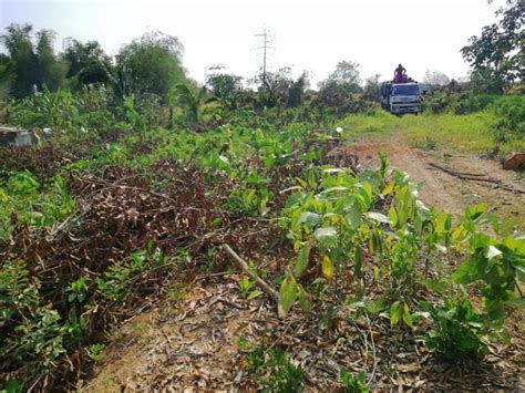 2 Hectares Land Property For Sale In Brgy Tigbe Norzagaray Bulacan