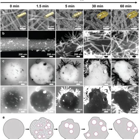 Interfacial Assemblies And Migration Of Preentrapped Zno Nps And