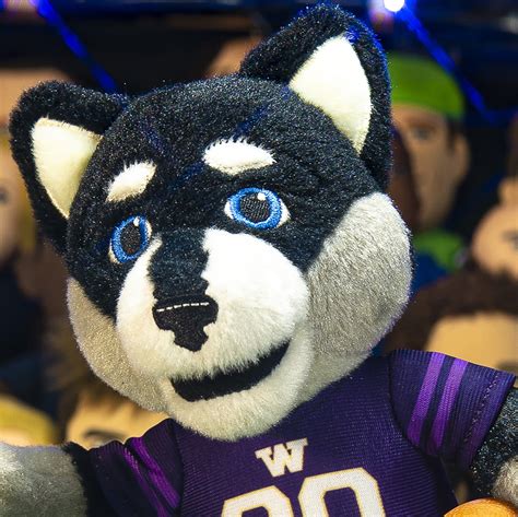 Washington Huskies Harry the Husky 10" Mascot Plush Figure