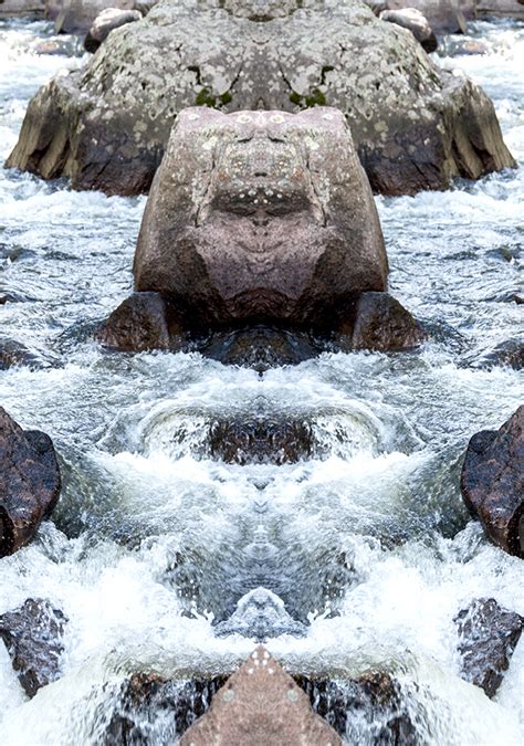 Hidden Faces of Nature - Karen A Dombrowski-Sobel