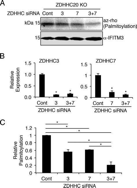 The Palmitoyltransferase ZDHHC20 Enhances Interferon Induced