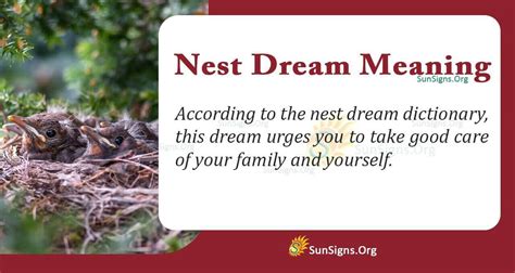 What Does A Nest Dream Symbolize Meaning Interpretation And