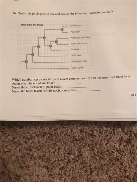 Solved Phylogenetic tree | Chegg.com 
