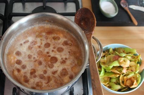 Got Apple Peels? Make a Simple Apple Peel Cider! - And Here We Are