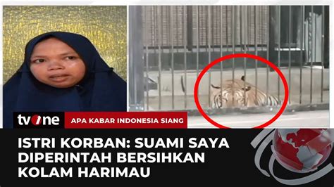 Sebelum Tewas Diterkam Harimau Majikan Suprianda Sempat Ingin Resign