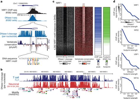 Parallel Profiling Of Genomic Regulatory Factor Occupancy Across