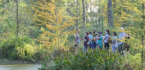 Houston Arboretum & Nature Center - Houston Arboretum & Nature Center