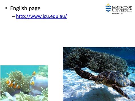 Ppt Marine Biology Powerpoint Presentation Free Download Id6321995