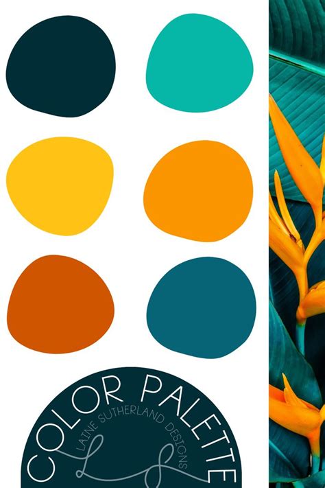 Tropical Plant Colour Palette Branding Laine Sutherland Designs In