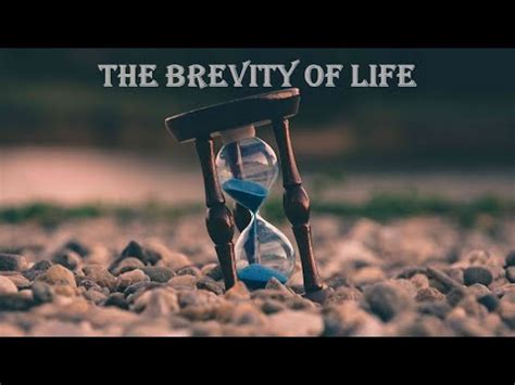 The Brevity Of Life YouTube