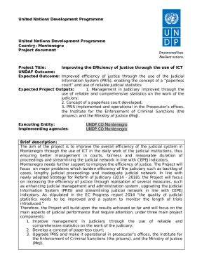 Project Document Undp Info Undp Doc Template Pdffiller