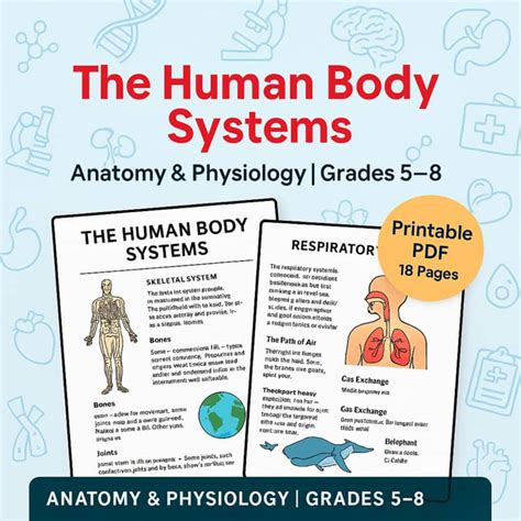 Anatomy Printable Comprehensive