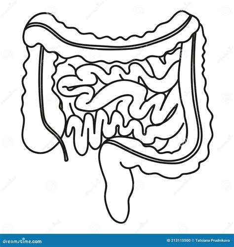 Intestines Doodle Vector Illustration Digestive System Cartoon Icons