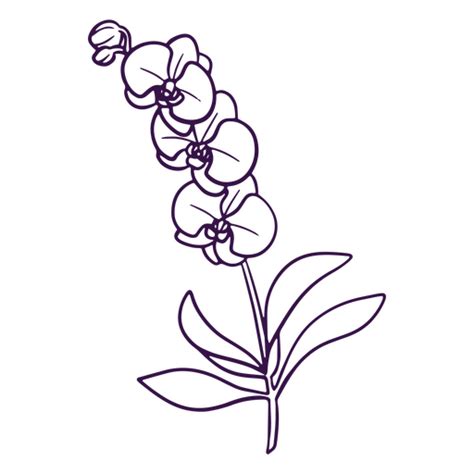 Design Png E Svg De Arte De Linha De ícone De Planta De Flor Para Camisetas