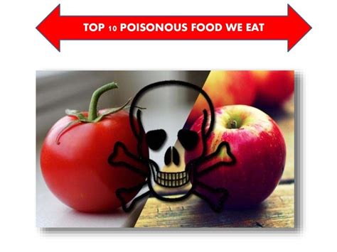 Top 10 Poisonous Food We Eat