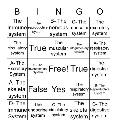 Body System Bingo Card