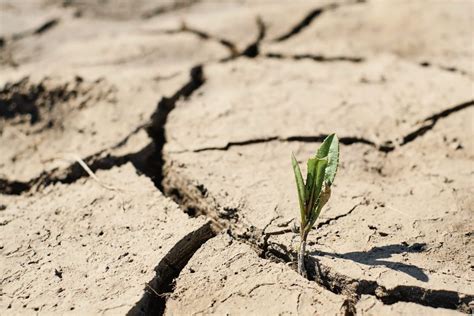 Inmet Divulga Novo Alerta De Clima Excessivamente Seco Para 129 Cidades