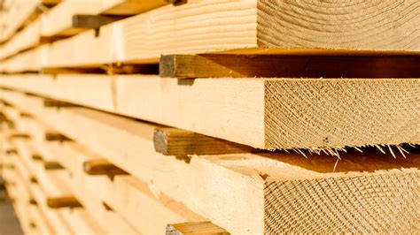Understanding the booming popularity of timber construction - BUILD ...