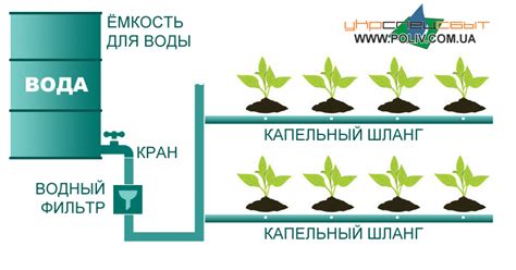 Капельный полив - купить систему капельного полива