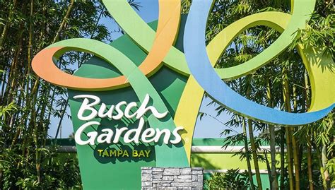 2.5 million gallons of wastewater spilled into Busch Gardens sinkhole ...