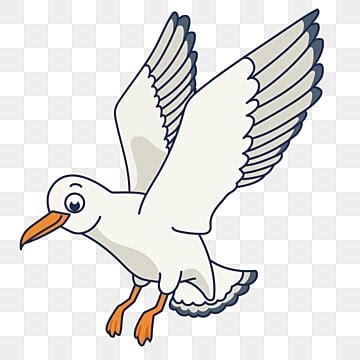 Cartoon Seagull PNG Transparent Images Free Download | Vector Files ...